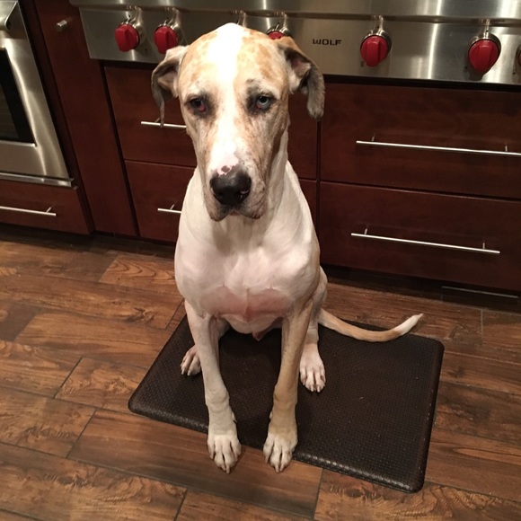 Meet your Posher, Courtney - Picture 1 of 1